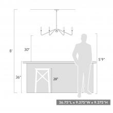 3690-LP BCB_scale.jpg